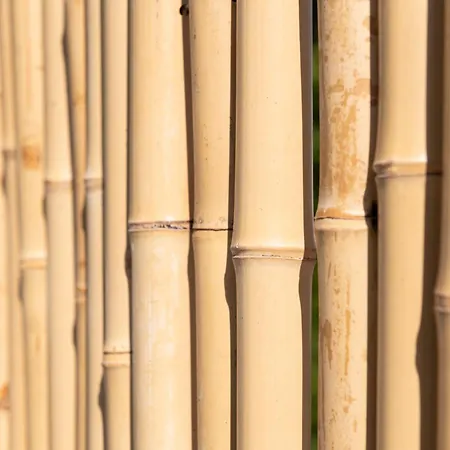 호텔 & Astor 앙티브